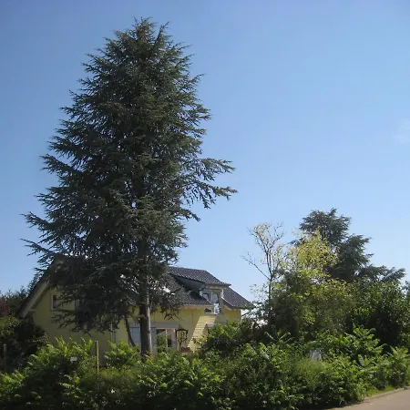 Apartment Haus Larche *